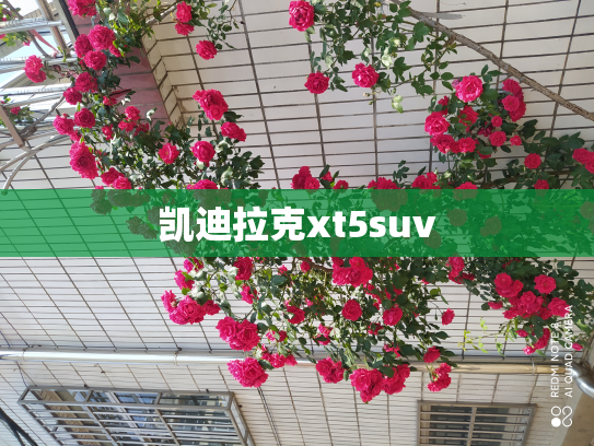 凯迪拉克xt5suv