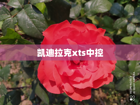 凯迪拉克xts中控