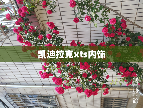 凯迪拉克xts内饰