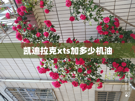 凯迪拉克xts加多少机油
