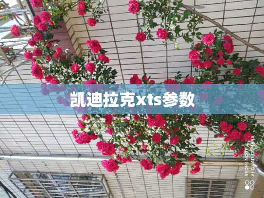 凯迪拉克xts参数
