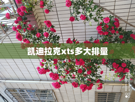 凯迪拉克xts多大排量