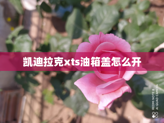 凯迪拉克xts油箱盖怎么开