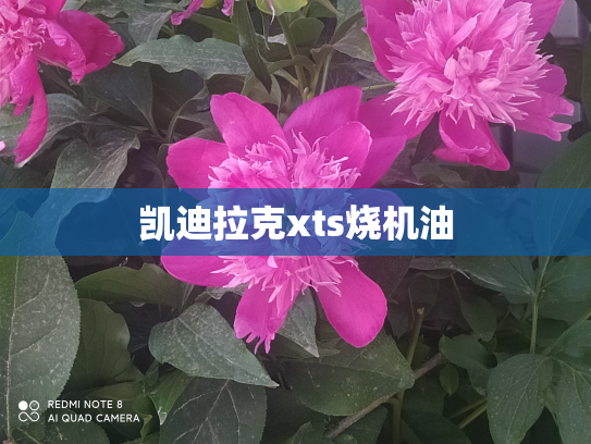 凯迪拉克xts烧机油