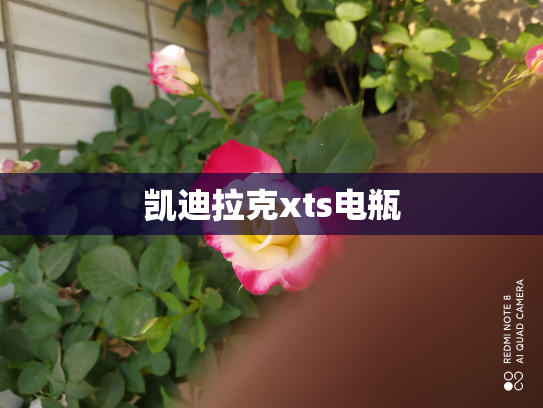 凯迪拉克xts电瓶