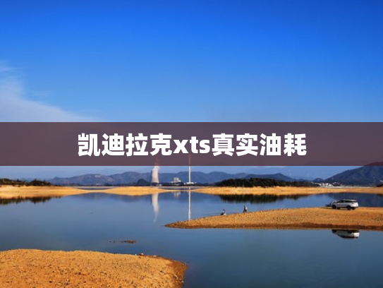 凯迪拉克xts真实油耗