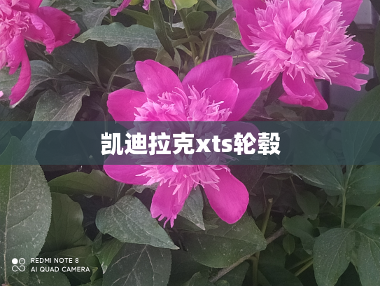 凯迪拉克xts轮毂