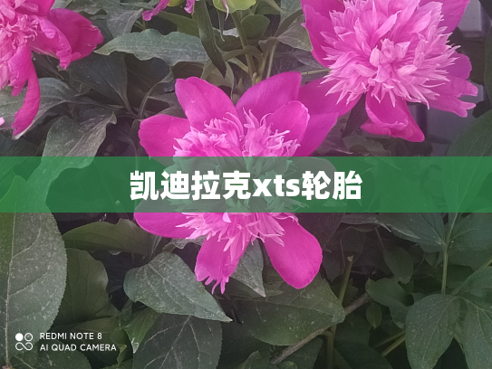 凯迪拉克xts轮胎