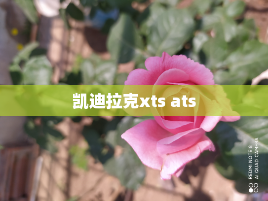 凯迪拉克xts ats