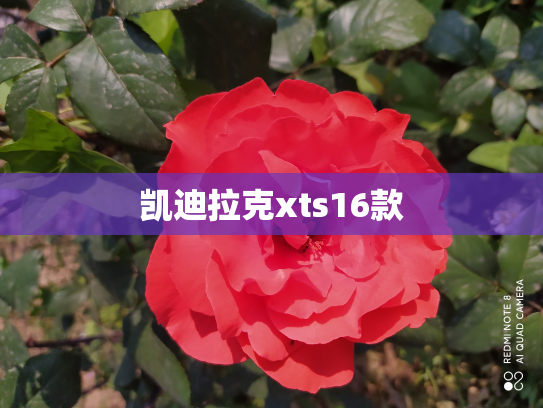 凯迪拉克xts16款