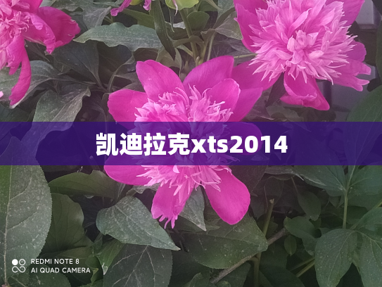 凯迪拉克xts2014