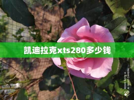 凯迪拉克xts280多少钱