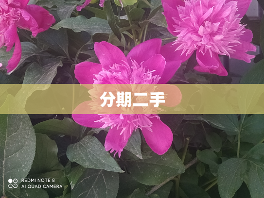 分期二手