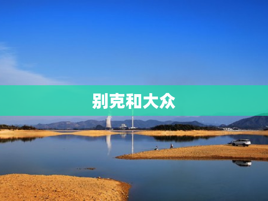 别克和大众