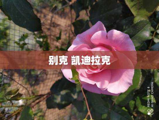 别克 凯迪拉克
