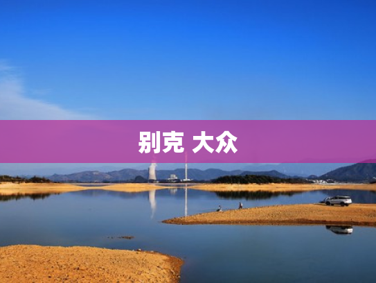 别克 大众