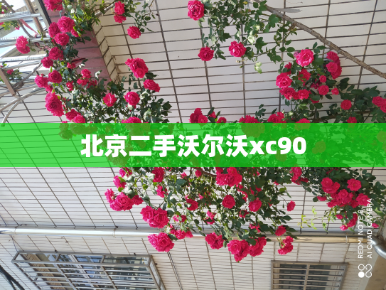 北京二手沃尔沃xc90