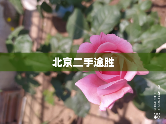 北京二手途胜