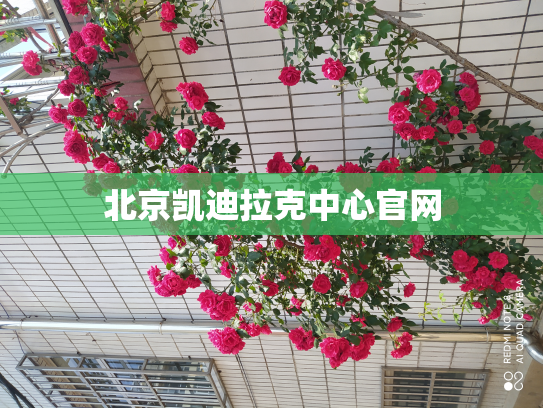 北京凯迪拉克中心官网
