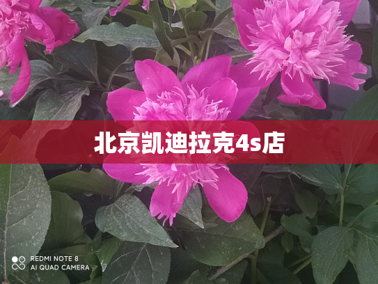 北京凯迪拉克4s店