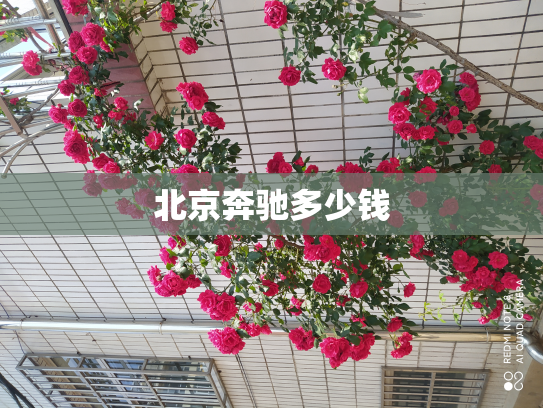 北京奔驰多少钱