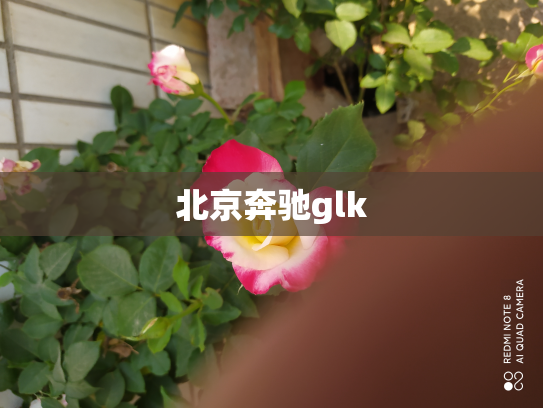 北京奔驰glk