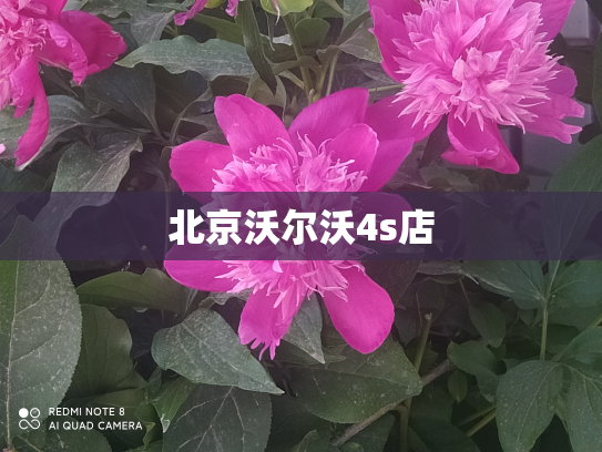 北京沃尔沃4s店