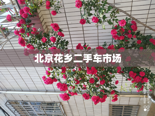 北京花乡二手车市场