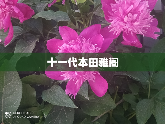 十一代本田雅阁