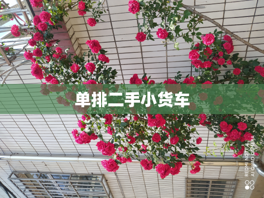 单排二手小货车