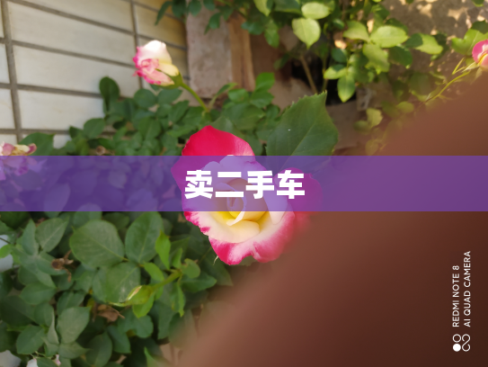 卖二手车