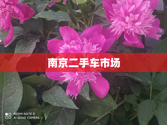 南京二手车市场
