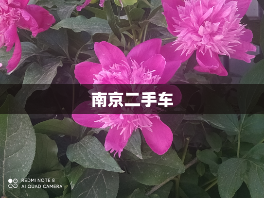 南京二手车