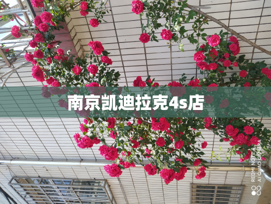 南京凯迪拉克4s店