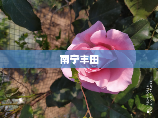 南宁丰田