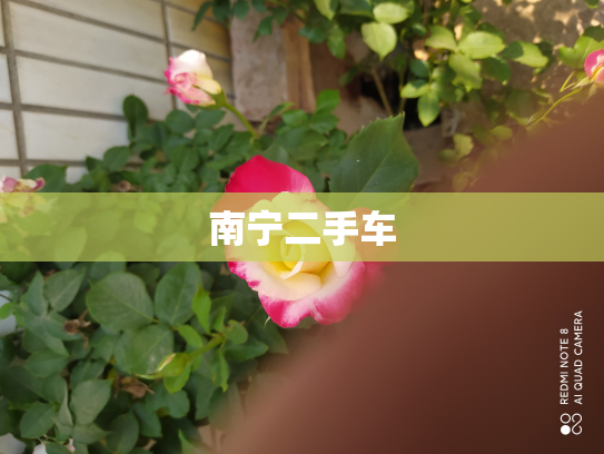 南宁二手车