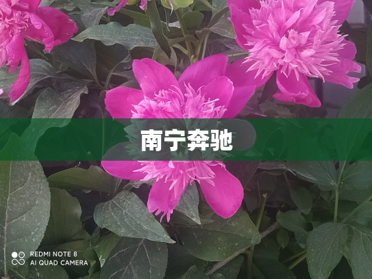 南宁奔驰