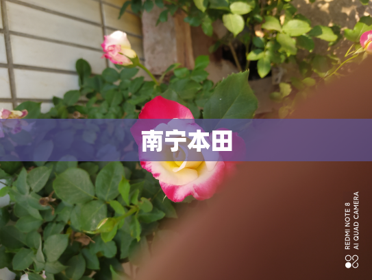 南宁本田