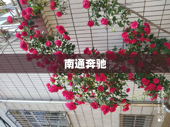 南通奔驰