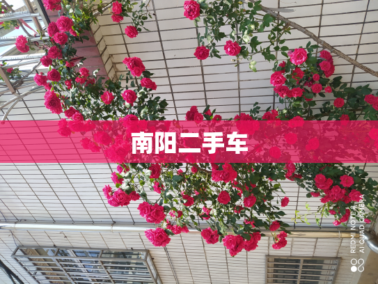 南阳二手车