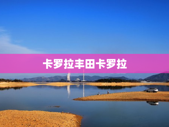 卡罗拉丰田卡罗拉