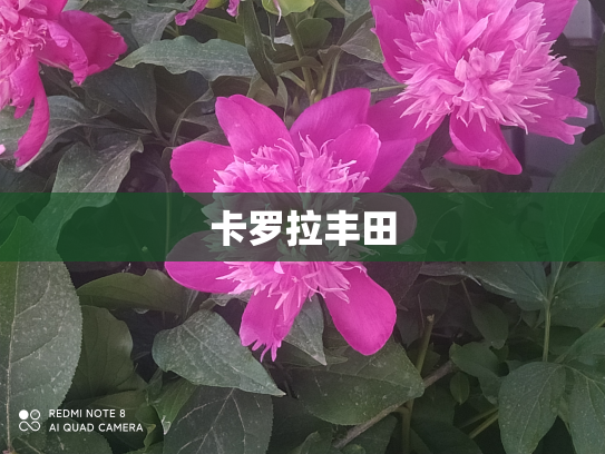 卡罗拉丰田