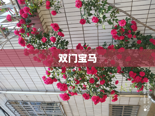 双门宝马