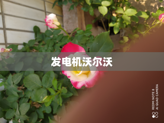 发电机沃尔沃