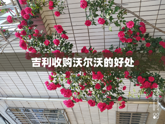 吉利收购沃尔沃的好处