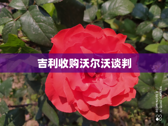 吉利收购沃尔沃谈判