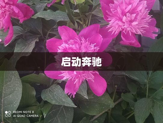 启动奔驰