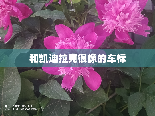 和凯迪拉克很像的车标