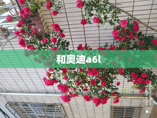 和奥迪a6l