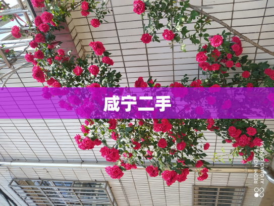 咸宁二手